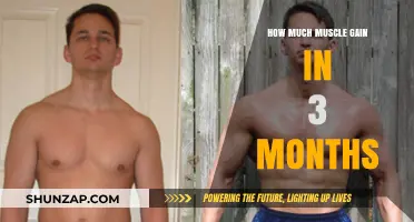 Maximize Muscle Growth: Achieving Impressive Gains in Just 3 Months