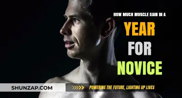 Novice Muscle Gain: Realistic Yearly Progress and Expectations