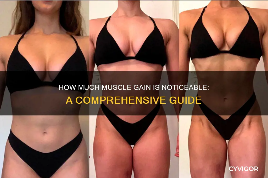 how much muscle gain is noticeable
