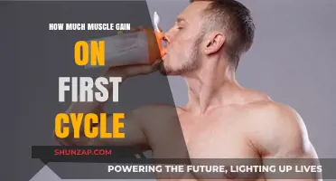 Maximizing Muscle Gain: What to Expect on Your First Cycle