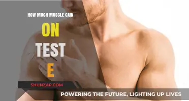 Maximizing Muscle Gains: Understanding Testosterone Enanthate's Impact and Results