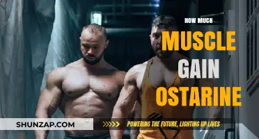 Ostarine's Muscle-Building Power: Unlocking Gains and Maximizing Results