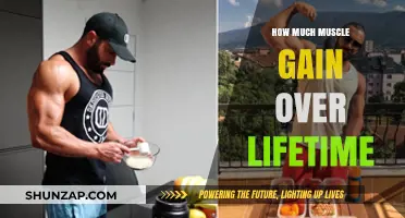 Maximizing Muscle Gain: A Lifelong Journey to Strength and Fitness