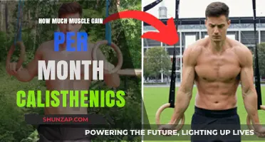 Maximize Calisthenics Muscle Gain: Monthly Progress and Effective Strategies