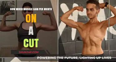Muscle Gain on a Cut: Realistic Monthly Progress Explained