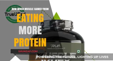 Boost Muscle Growth: How Extra Protein Intake Fuels Gains