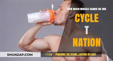 Muscle Gains on Third Cycle: T Nation Insights and Results