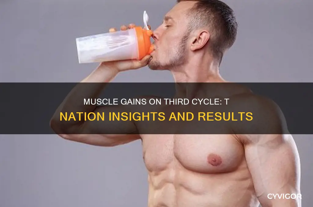 how much muscle gained on 3rd cycle t nation