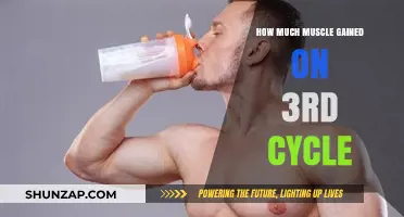 Maximizing Muscle Gains: Insights from My Third Steroid Cycle