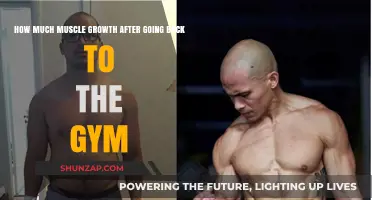Revamping Fitness: Muscle Growth Miracles Post-Gym Hiatus