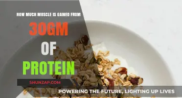 Maximizing Muscle Gains: The Impact of 30gm Protein Intake