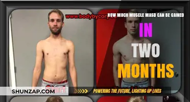 Maximizing Muscle Gain: Realistic Results in Just Two Months