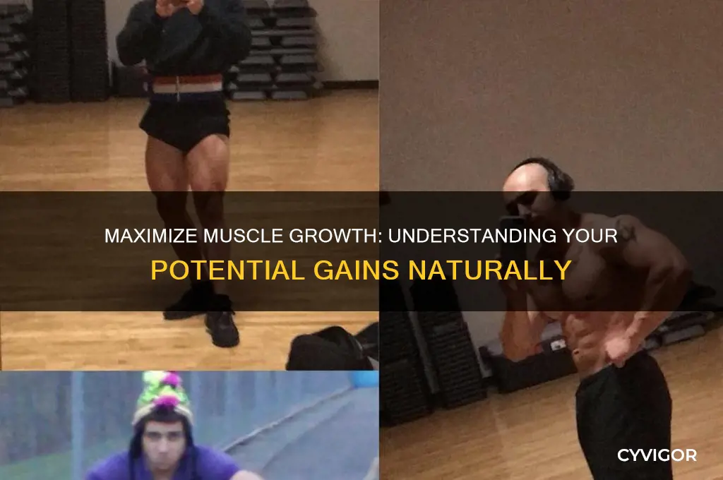 how much muscle mass can i gain