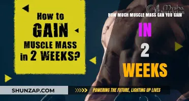 Rapid Muscle Growth: Maximizing Gains in Just 2 Weeks