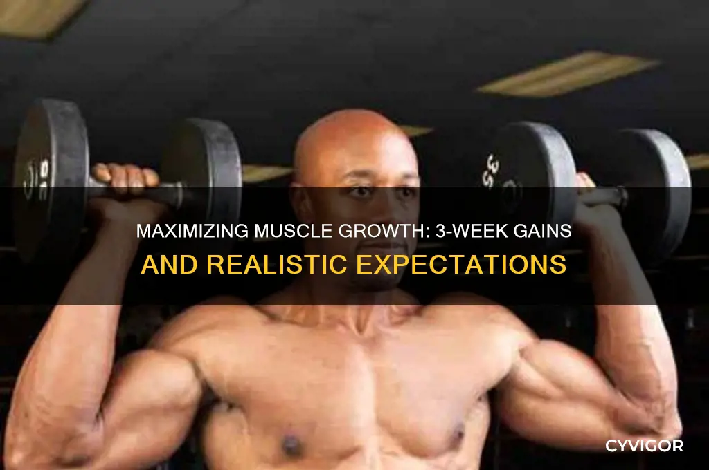 how much muscle mass can you gain in 3 weeks