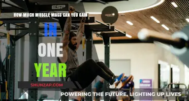 Maximize Your Gains: Realistic Muscle Mass Growth in a Year