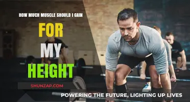 Optimal Muscle Gain: Height-Based Guide for Balanced Physique Goals