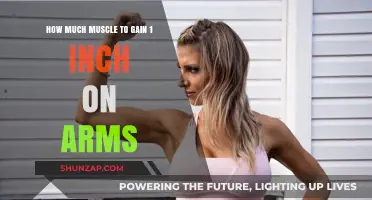 How to Gain 1 Inch on Arms: Muscle Building Tips