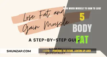 Muscle Gain Strategies to Shed 5% Body Fat Effectively