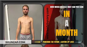 Maximize Monthly Muscle Gains: Realistic Expectations and Strategies