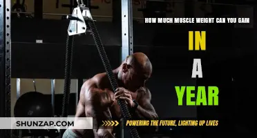Maximize Muscle Growth: Realistic Yearly Gains and Strategies