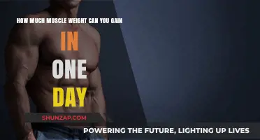Daily Muscle Gain Limits: Realistic Expectations for One-Day Growth