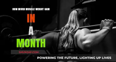 Maximizing Monthly Muscle Gain: Realistic Expectations and Strategies