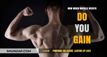 Muscle Gain Insights: Understanding Your Weight Increase Journey