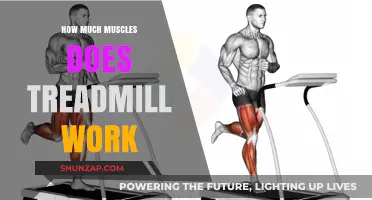 Treadmill Workouts: Unlocking Muscle Engagement and Strength Benefits