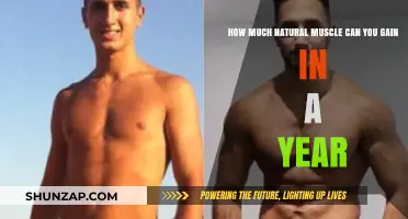 Maximize Your Muscle: Realistic Natural Gains in One Year