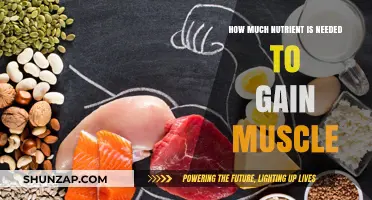 Optimal Nutrient Intake for Effective Muscle Gain: A Comprehensive Guide