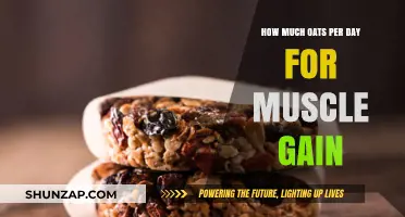 Optimal Oats Intake for Muscle Gain: Daily Serving Guide