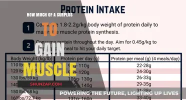 Surplus Secrets: How Much Extra Calories to Build Muscle