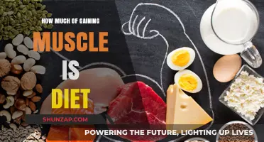 Muscle Gain Secrets: Unlocking the Power of Nutrition for Growth