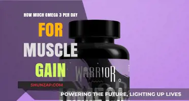 Optimal Omega-3 Daily Intake for Muscle Growth and Recovery