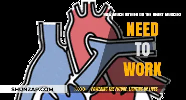 Heart Muscle Oxygen Demand: Essential Fuel for Cardiac Function and Performance