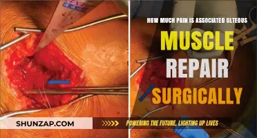 Understanding Pain Levels in Surgical Gluteus Muscle Repair: What to Expect