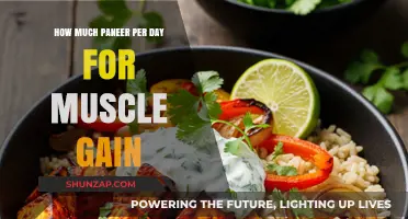 Paneer for Muscle Gain: Optimal Daily Intake for Fitness Enthusiasts