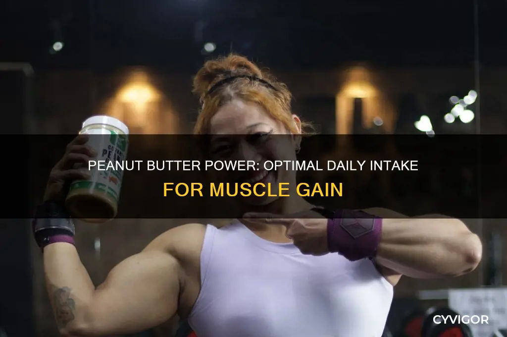 how much peanut butter a day to gain muscle