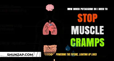 Potassium Power: Cramp Prevention and Daily Intake Tips