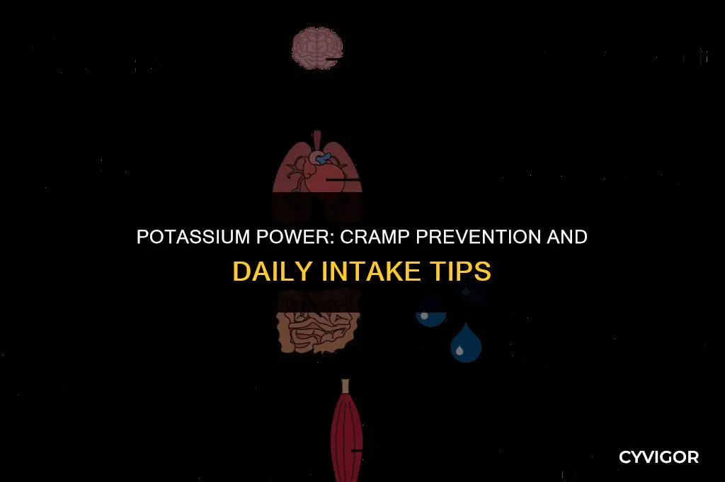 how much potassium do i need to stop muscle cramps