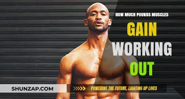 Muscle Gain Secrets: How Much Weight Can You Add Working Out?
