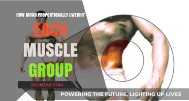 Proportional Muscle Weight Distribution: Balancing Strength and Aesthetics