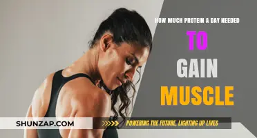 Optimal Daily Protein Intake for Effective Muscle Gain and Growth