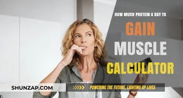 Calculate Daily Protein Intake for Optimal Muscle Gain Easily