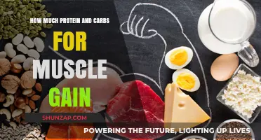 Optimal Protein and Carb Intake for Effective Muscle Gain Strategies