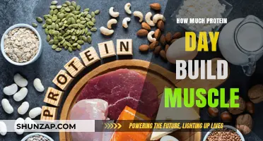 Fuel Your Gains: The Optimal Daily Protein Intake for Muscle Building