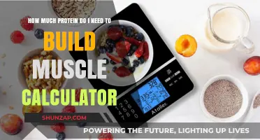 Protein Power: Calculate Your Muscle-Building Needs Today!