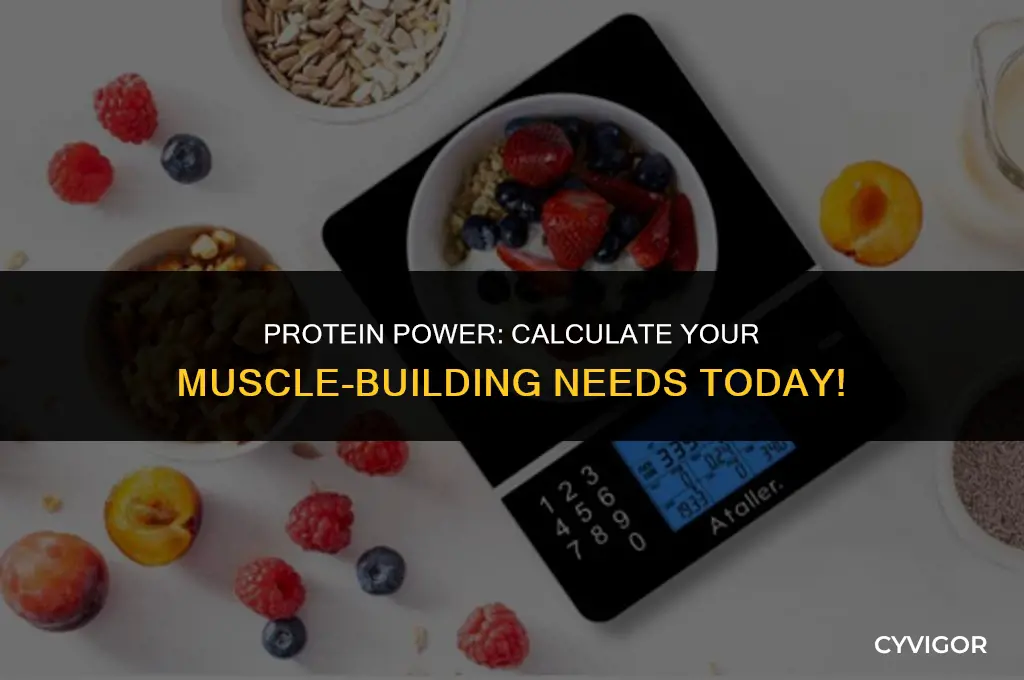 how much protein do i need to build muscle calculator