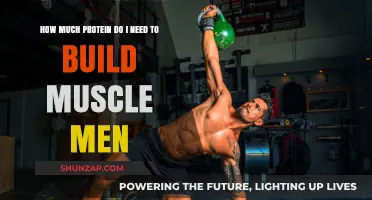 Protein Power: Fueling Muscle Growth for Men